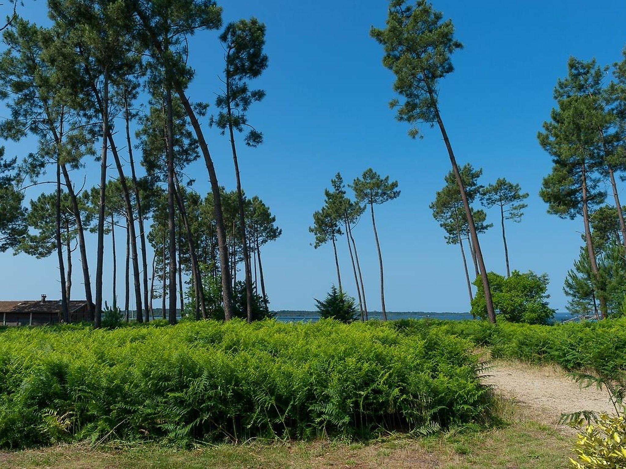 Vacanceole - Le Domaine Des Grands Lacs Parentis-en-Born Εξωτερικό φωτογραφία